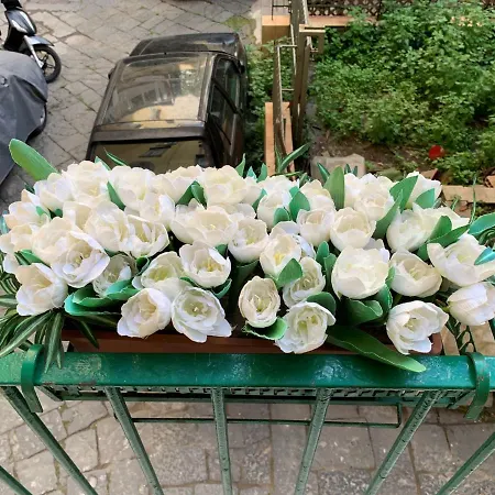 Apartment Da Ninetta Resterete Senza Parole, Garantito! *