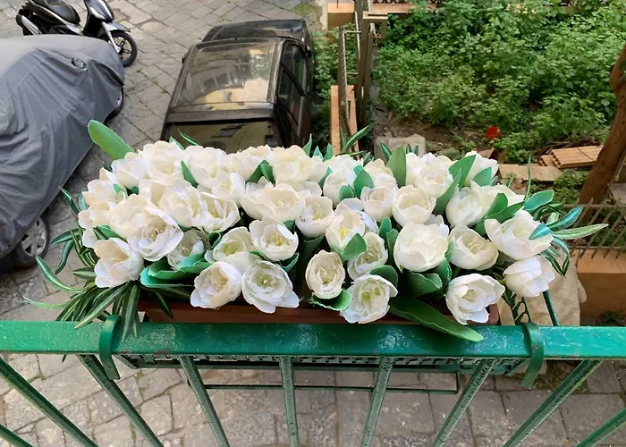 דירה Da Ninetta Resterete Senza Parole, Garantito! *