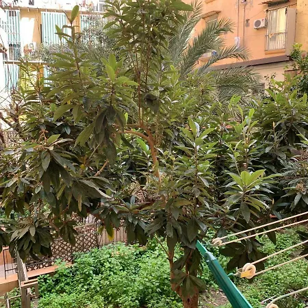 Da Ninetta Resterete Senza Parole, Garantito! Naples
